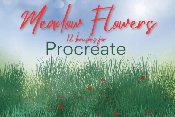 Download Procreate Meadow Flower Brushes X 12 - Procreate Collection