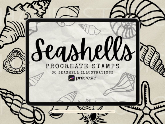Download Seashell Procreate Stamp Brush Set - Procreate Collection