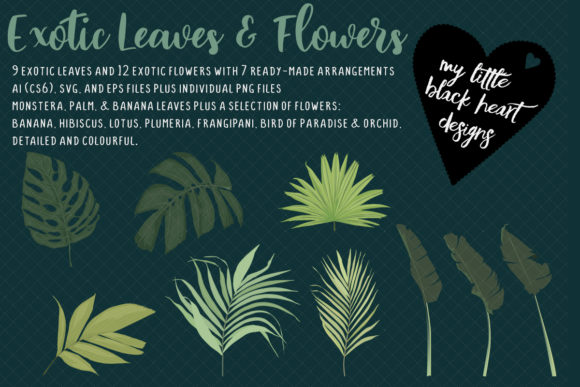 Download Exotic Leaves and Flowers - Leaves and flowers Collection