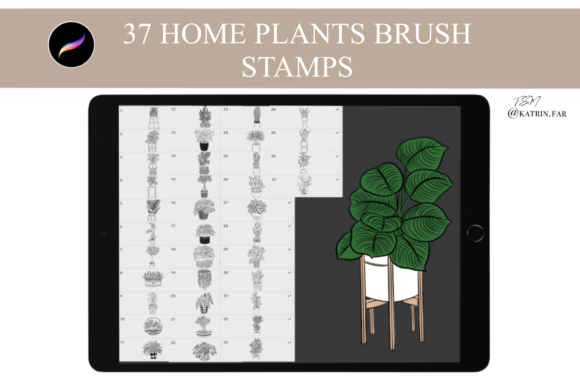 Download Home Plants Stamps Brushes for Procreate - Procreate Collection