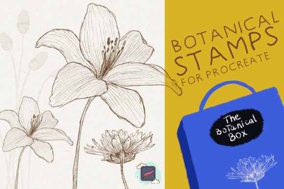Download The Procreate Botanical Box - Procreate Collection