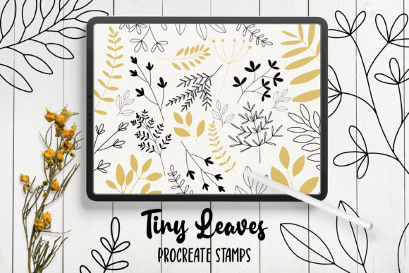Download Hand Drawn Leaves Procreate Stamps - Procreate Collection