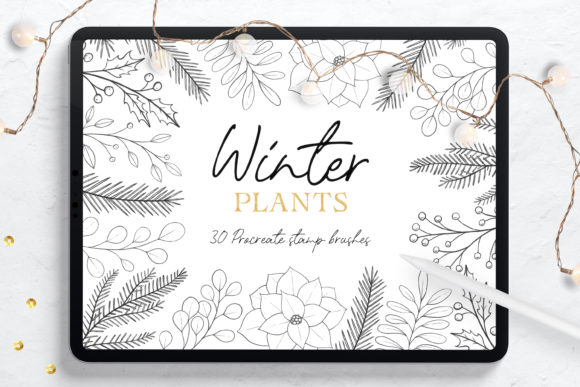 Download Winter Plants Procreate Stamp Brushes - Procreate Collection